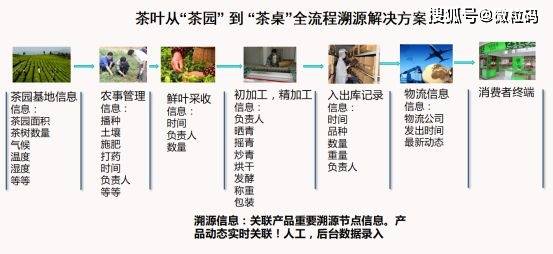 澳门一码一肖100%准确预测跨国释义解释与落实策略探讨