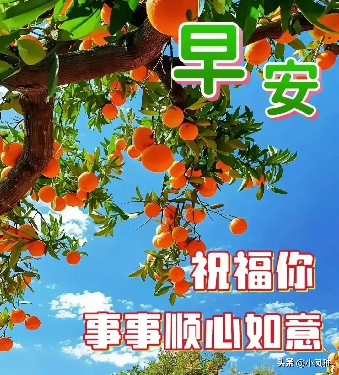 探索与解读，2024天天彩正版资料大全与常规释义解释落实