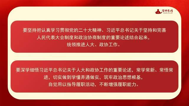 王中王论坛免费资料2024，专情释义、解释与落实的重要性