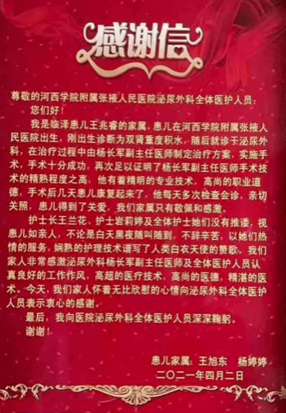 细水释义解释落实，凤凰网与王中王的独特合作与深度解读