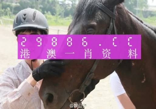 最准一肖一码，澳门时效释义、解释与落实