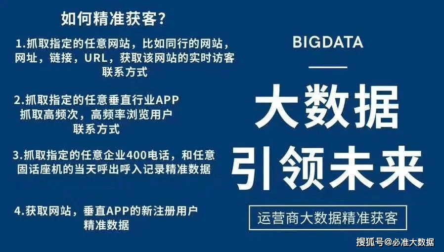 澳门精准四不像正版与细腻释义解释落实的深度探讨