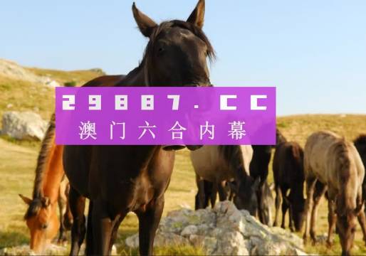 澳门今晚开特马四不像图，专断释义解释落实