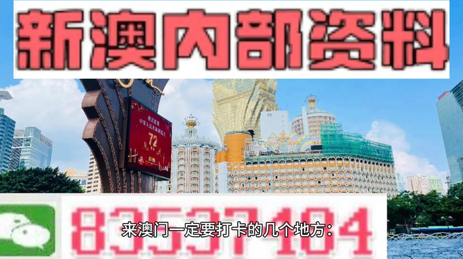 新澳2024年最新资料详解，专属释义与落实策略