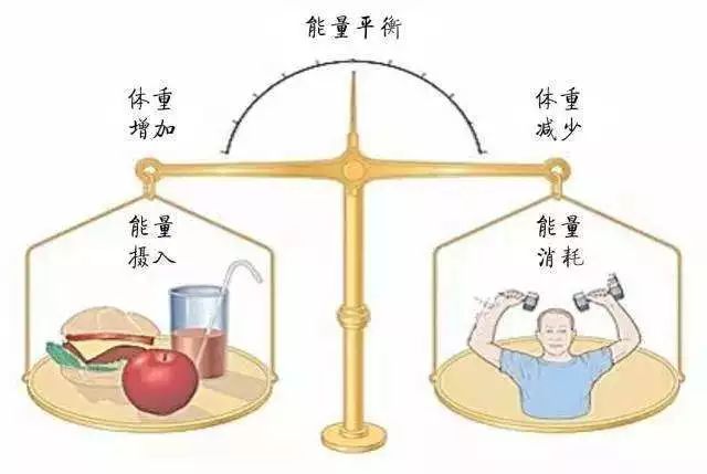 澳门一码一肖预测，客观释义与解释落实的重要性