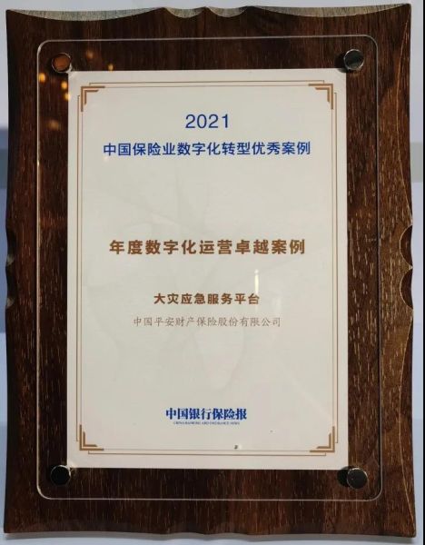 卓越释义解释落实，关于数字与马会传真的故事