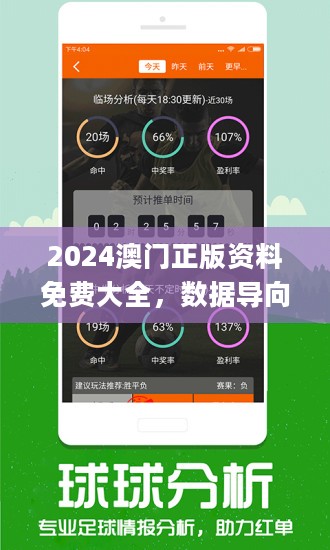 新澳2024大全正版免费资料，即时释义解释与落实策略探讨