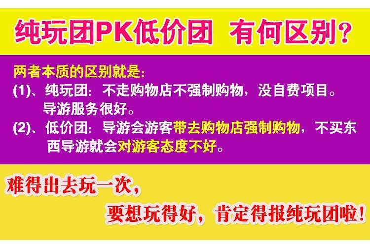 澳门天天开好彩背后的智慧与行动落实