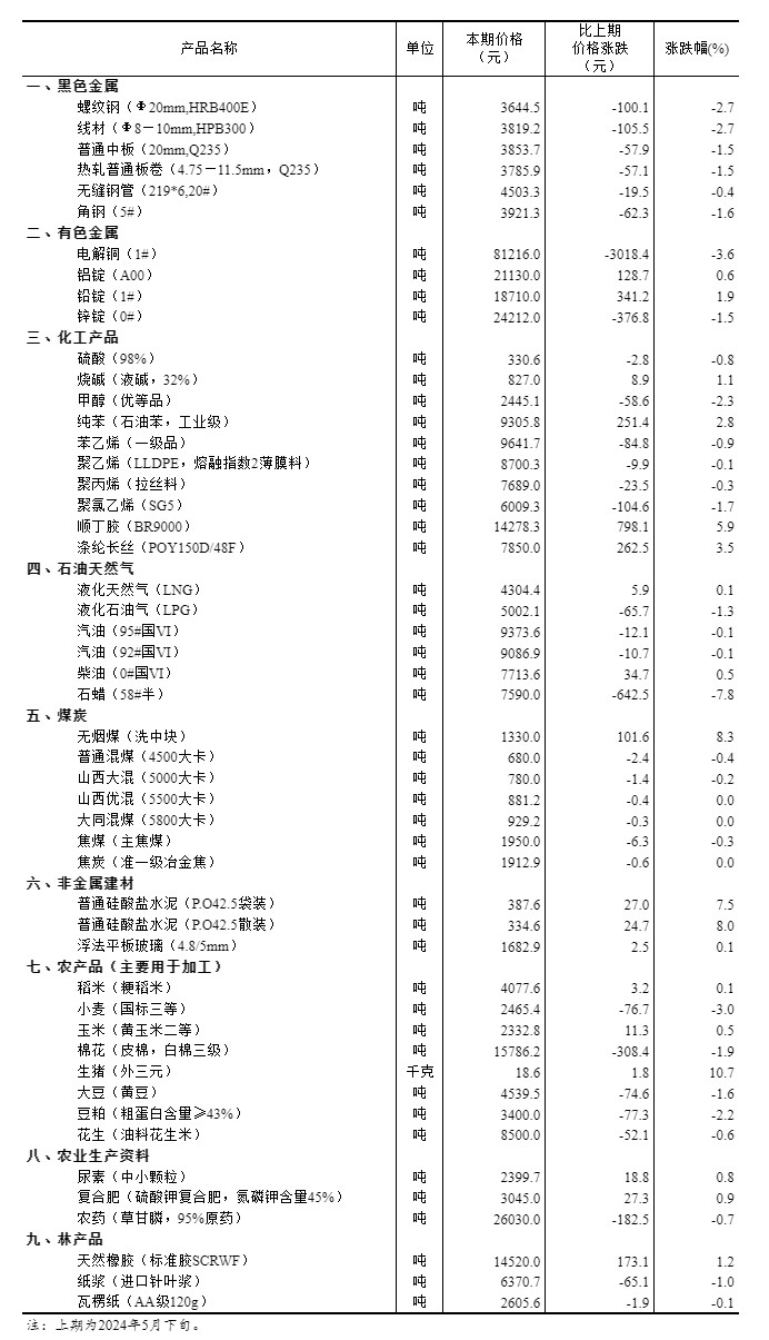 揭秘澳门正版资料大全，行家释义解释落实的重要性