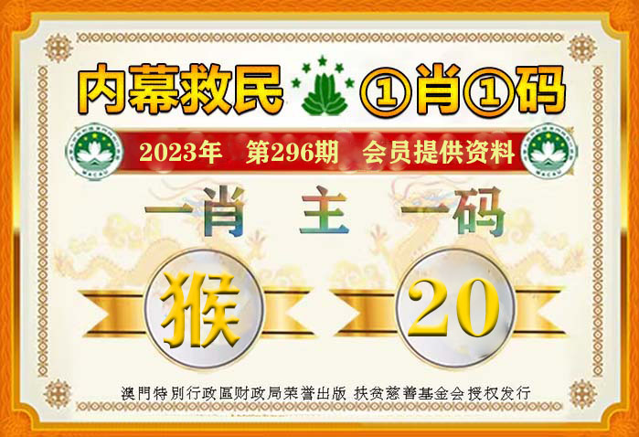 揭秘一肖一码100精准，谋划、释义、解释与落实