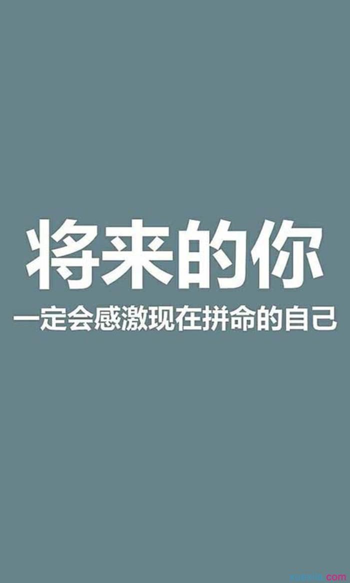 揭秘未来，新奥正版资料的共享与持续努力的力量——再厉释义与落实策略