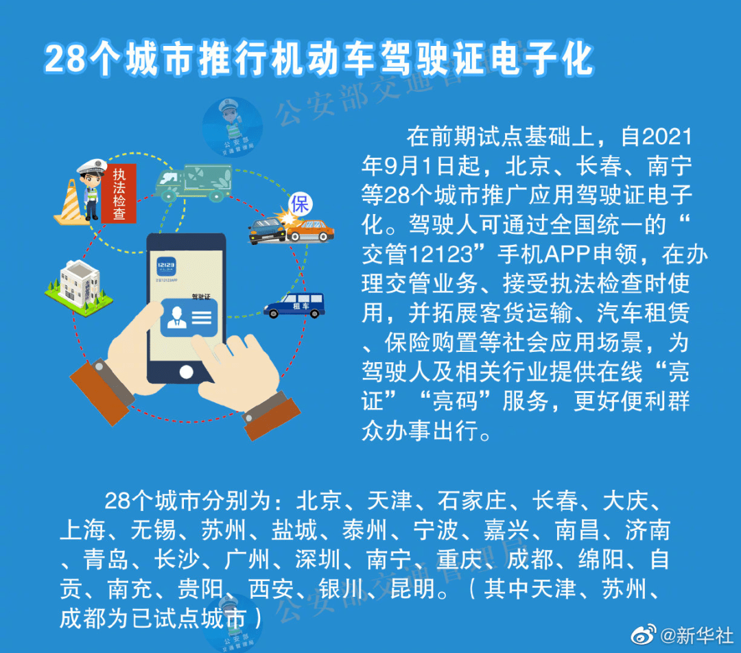 新澳门资料免费长期公开，功率释义、解释与落实的探讨