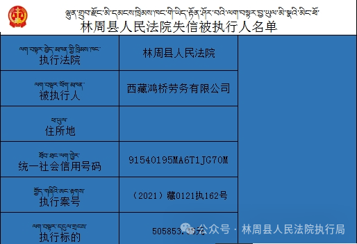 揭秘2024年天天彩精准资料，量入释义、深度解析与实际应用