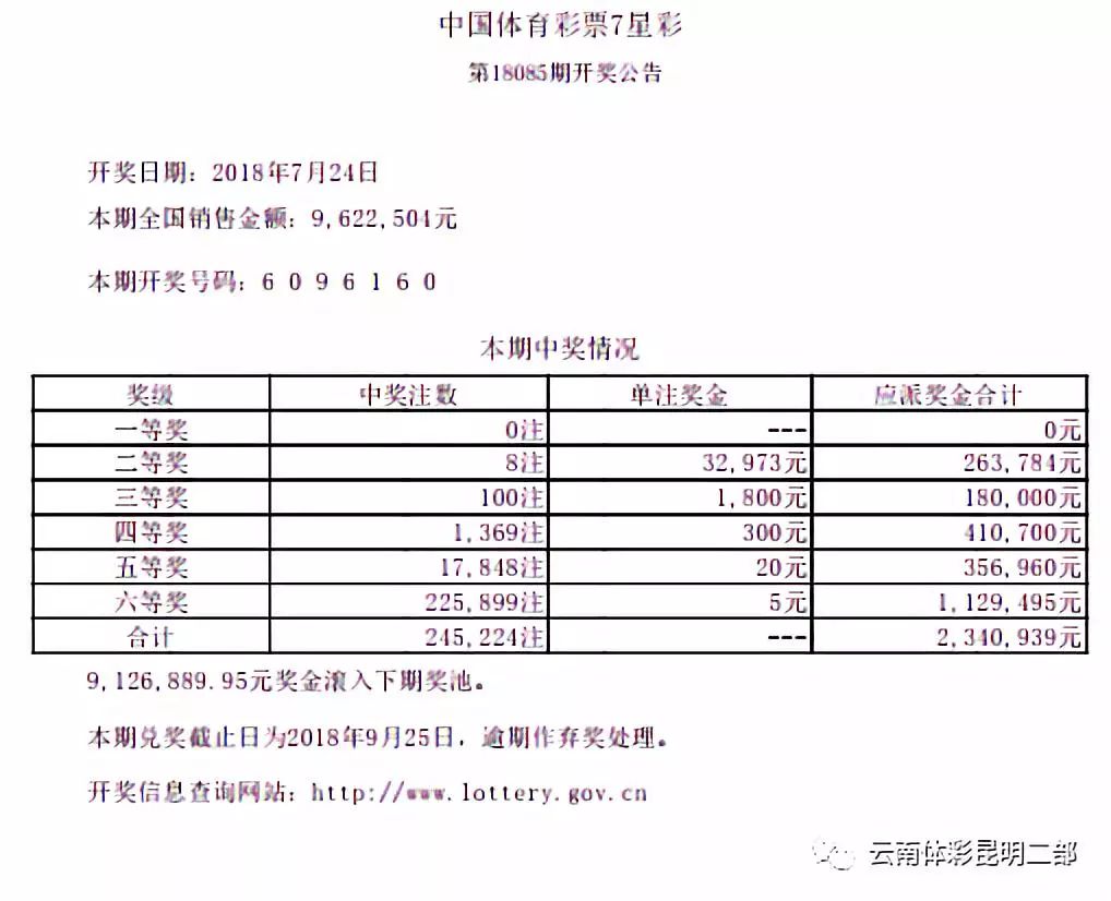 澳门彩票天天开彩结果，严实释义解释落实的重要性