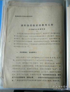 澳门四不像正版资料大全凤凰，实例释义、解释与落实