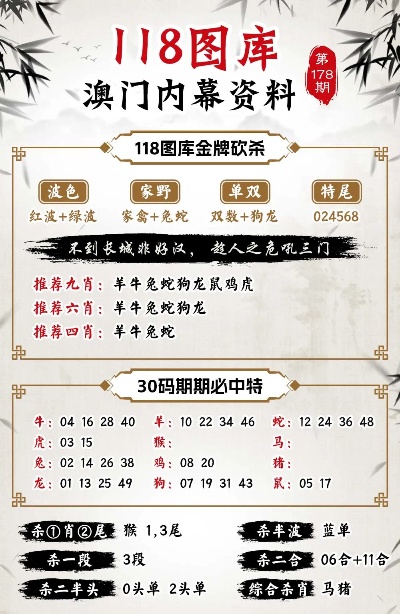 今晚澳门9点35分开什么，动态释义解释落实的探讨