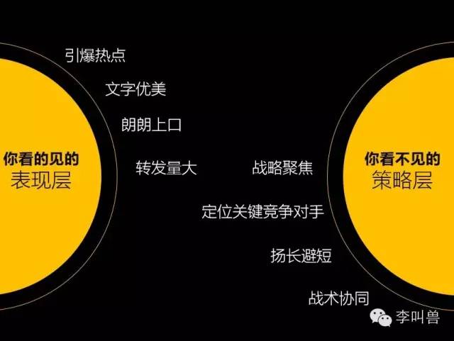 揭秘提升一肖一码准确率与多角释义解释落实策略，探索未知的奥秘