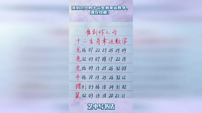 揭秘十二生肖与数字码，2024年运势解析及损益释义落实之道