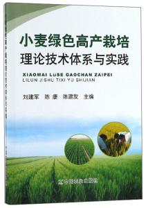 新奥梅特免费资料大全与环保释义解释落实的探讨——迈向绿色未来的关键步骤