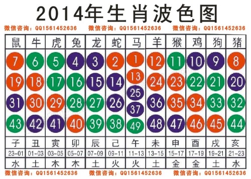 揭秘十二生肖与数字密码，解读2024年十二生肖49码表及其进度释义与落实策略