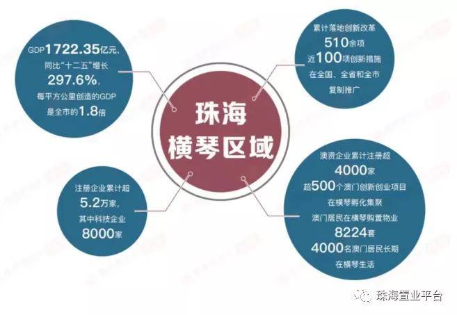 探索未来，解析新澳2024年最精准资料与满足释义解释落实策略