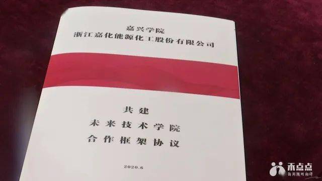 新澳精准资料的风险提示与释义落实，深化理解与行动指南