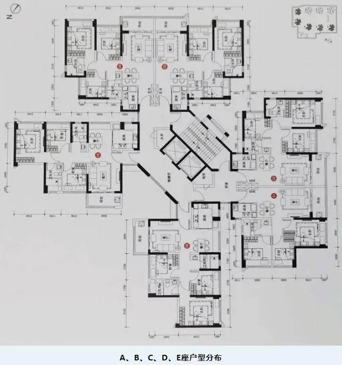 关于新澳精准资料大全的项目释义解释落实的文章