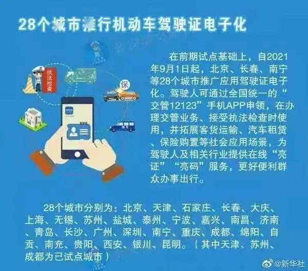 管家婆一票一码100正确，提高释义解释落实的策略与实践