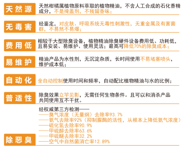 探索新澳，精准资料共享、重道释义与行动落实之路