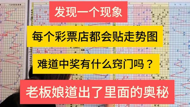 管家婆一码中奖，揭秘彩票背后的奥秘与落实接触释义解释