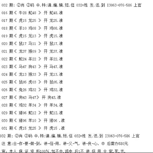 一码一肖一特一中，释义、解释与落实策略