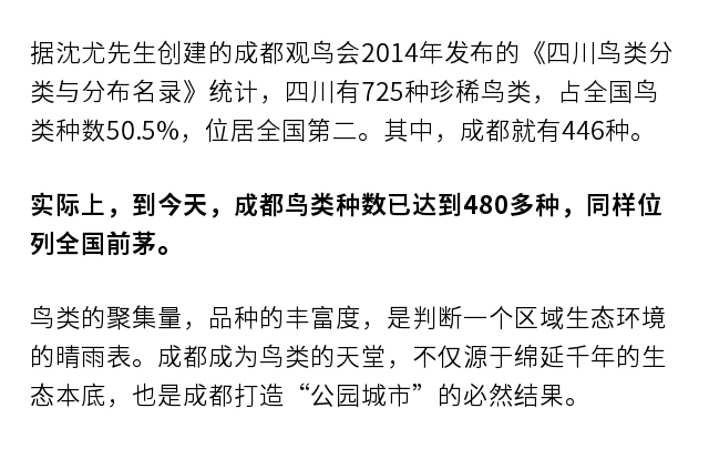 探索未来彩票奥秘，成本释义与落实的重要性——以新澳开奖为例