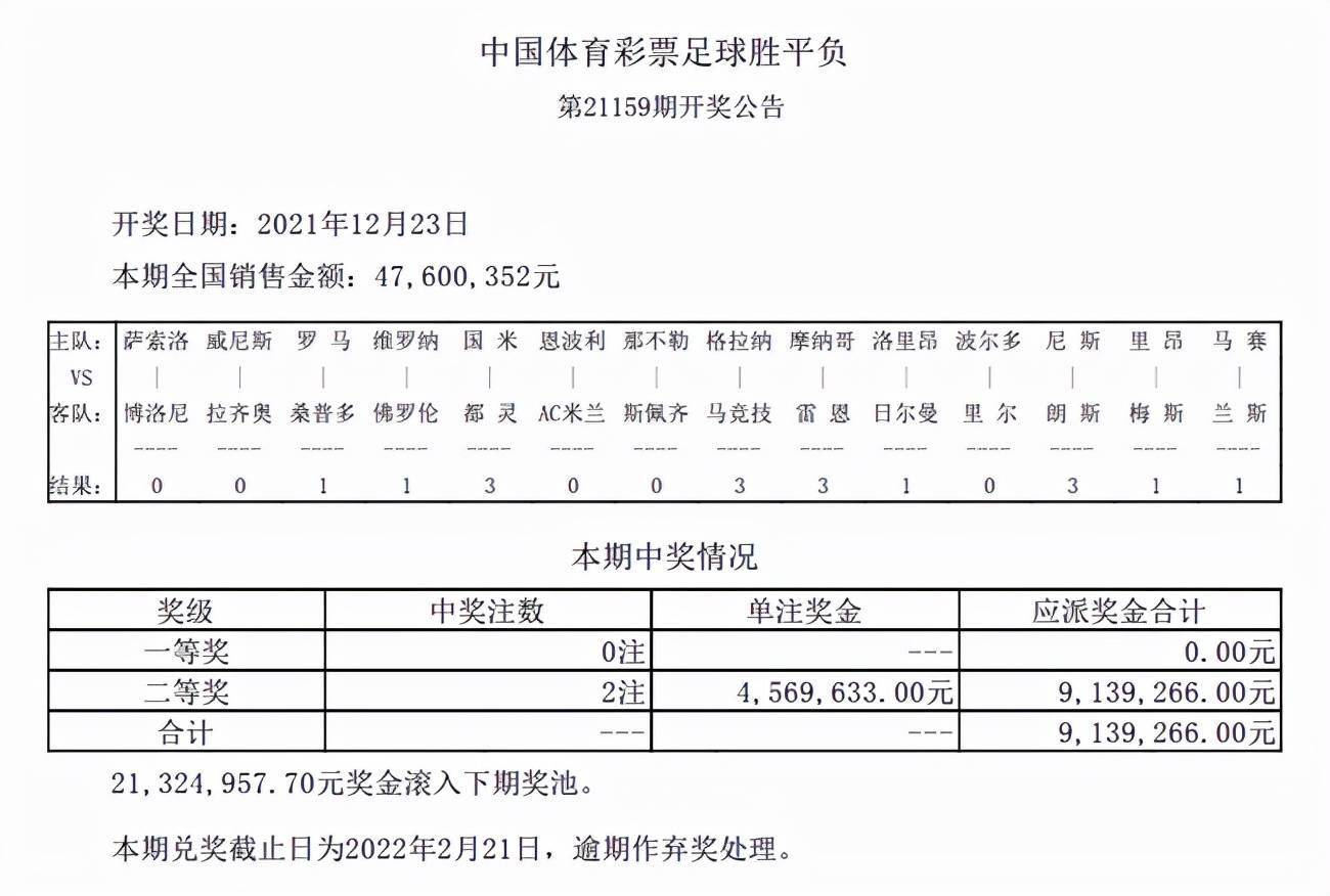 揭秘新澳开奖结果与质量释义解释落实的未来展望