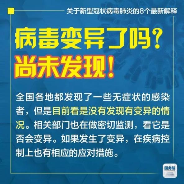 精准新传真，从释义到落实的全方位解读