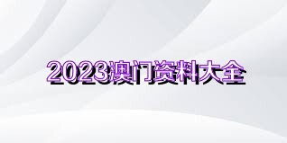 今晚新澳门开奖结果查询，揭秘彩票背后的数字游戏与接引释义解释落实的重要性