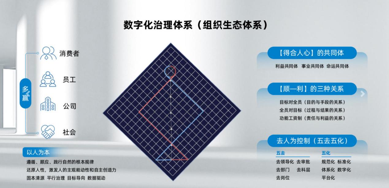 三肖必中特三肖三码免费公开，深度解读与实际应用