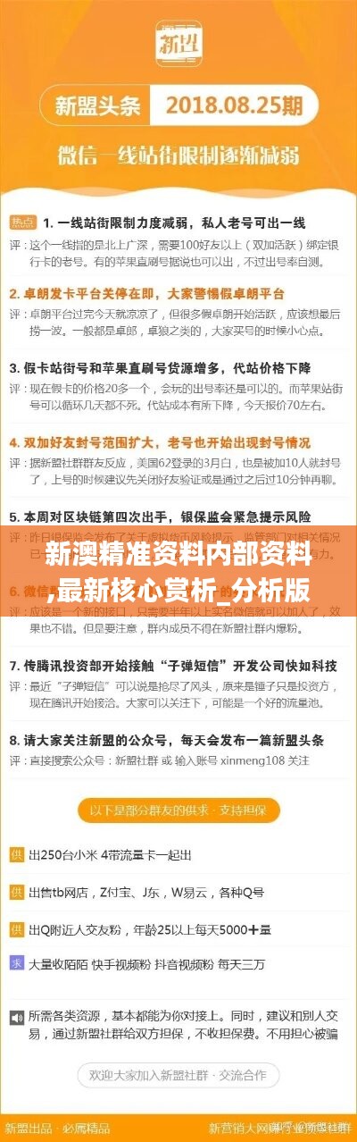 关于新澳精准资料免费提供网站的执释义解释与落实策略