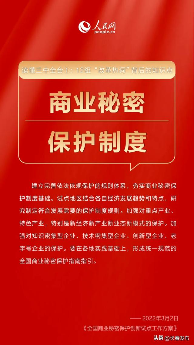 探索新澳精准正版资料与刺股释义的深度解析——面向未来的落实策略