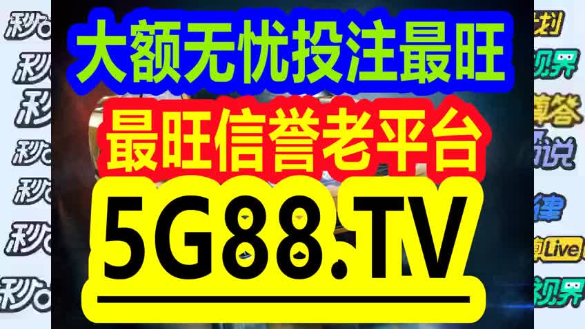 管家婆一码一肖资料大全一语中特，深度解析与实际应用