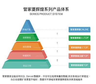 探索管家婆的预测智慧与效率释义，落实一种全新的管理方式