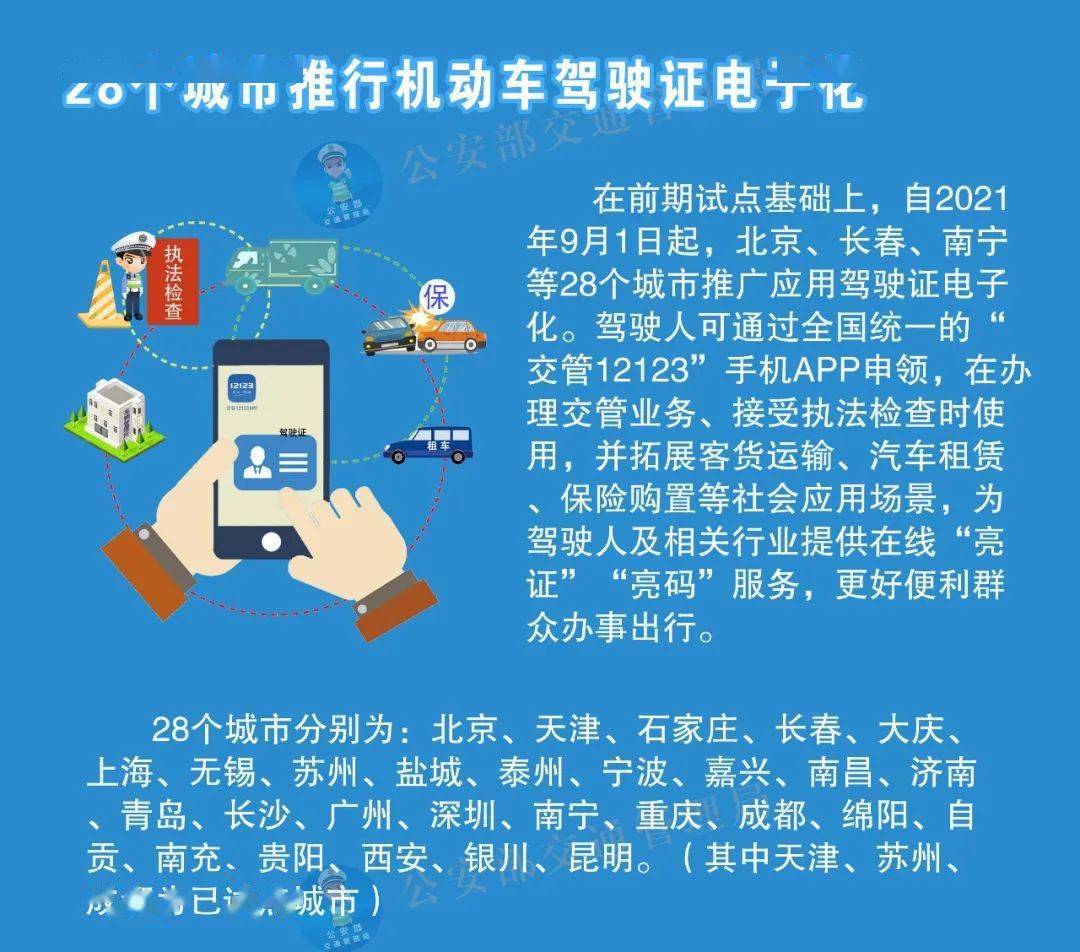 新澳门资料大全正版资料，准时释义、解释与落实，2025年免费下载展望