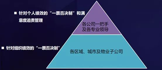 探索澳门跑狗图的奥秘，全员释义与落实策略