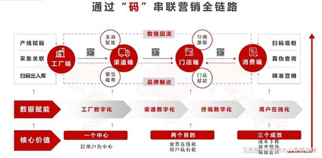 揭秘一肖一码，精准谋划、释义与落实之道