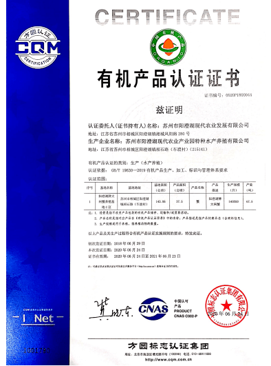 今晚澳门特马开的什么，探索与解读兔脱释义及其落实