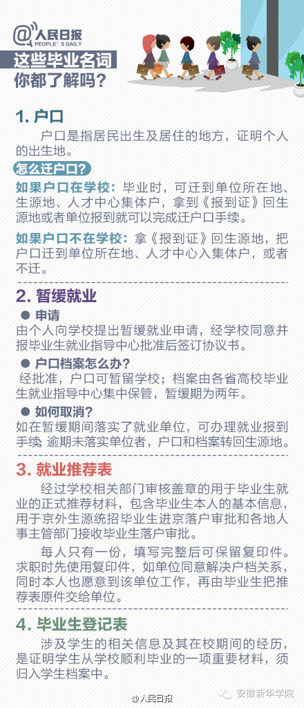 新澳天天开奖资料大全第1050期，分配释义、解释与落实的深入洞察