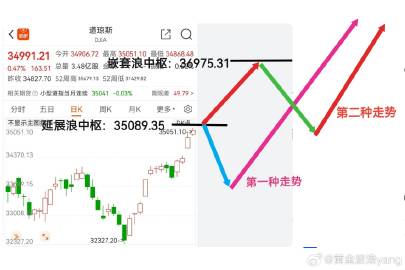 一肖一码一必中，选择与释义的落实深度解析