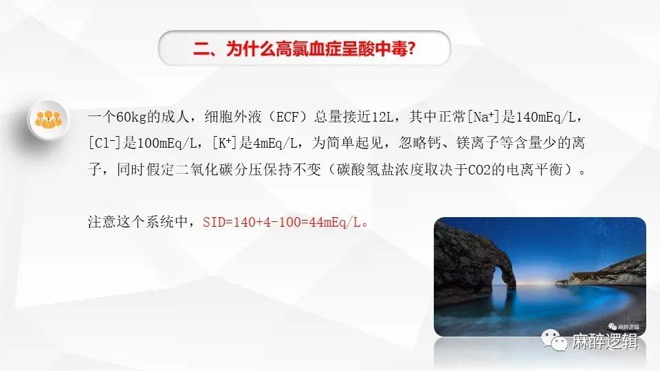 精准一肖一码一子一中，知识释义、解释与落实的重要性