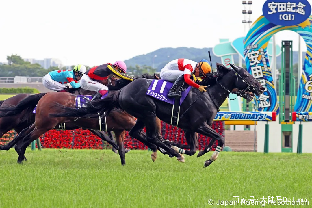 香港特马资料王中王与纯熟释义解释落实的重要性