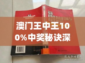 澳门王中王与灵动释义，深度解析与落实策略