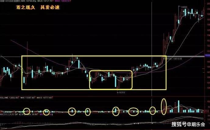 三肖三码最准的资料与跨领释义，深入解析与落实